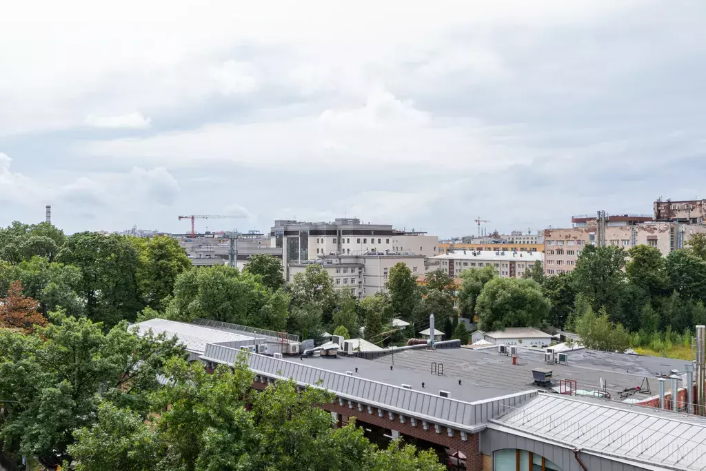 квартира г Санкт-Петербург метро Петроградская пр-кт Аптекарский 5 к 1, Ленинградская область фото 30