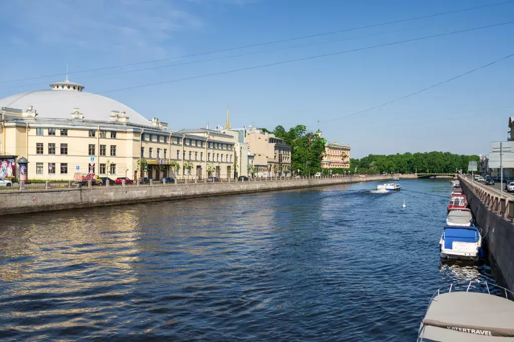 квартира г Санкт-Петербург метро Гостиный Двор ул Белинского 5 Ленинградская область фото 31