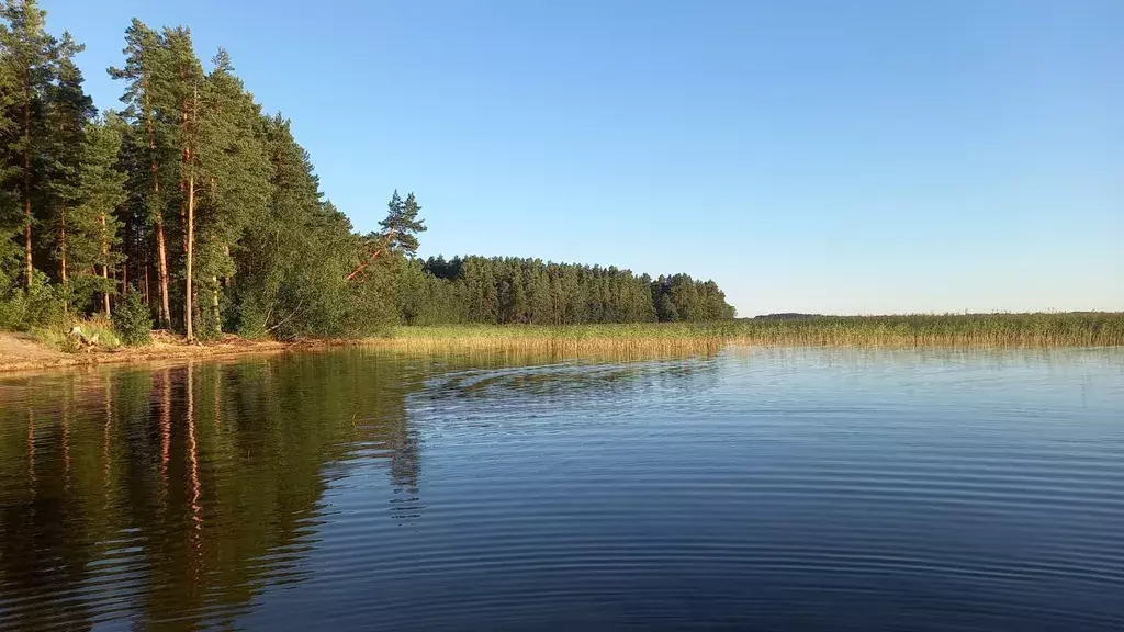 дом р-н Приозерский п Приладожское ул Садовая 14 Плодовое фото 27