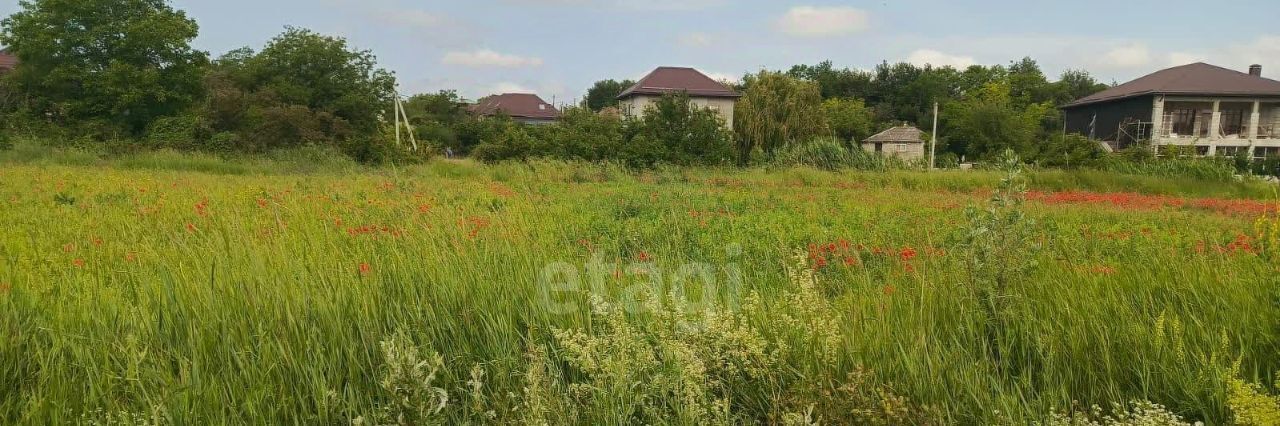 земля р-н Анапский х Усатова Балка Анапа муниципальный округ фото 3