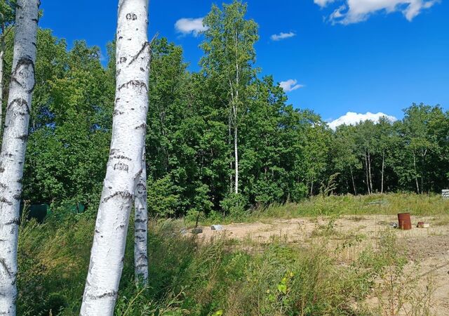 с Чигири ул Барбарисовая Благовещенск фото