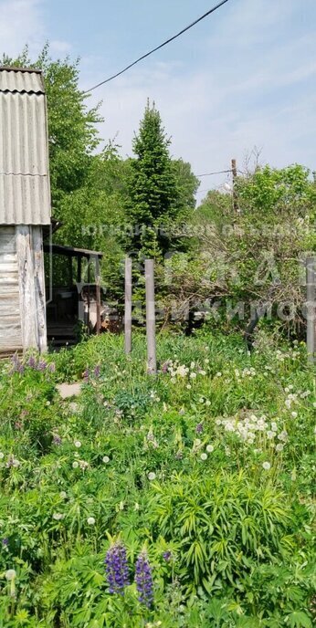 земля р-н Кемеровский снт Александровские родники фото 2