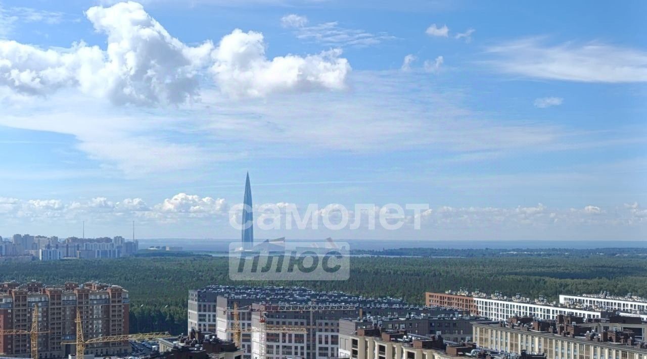 квартира г Санкт-Петербург метро Комендантский Проспект ул Верхне-Каменская 11к/1 фото 1