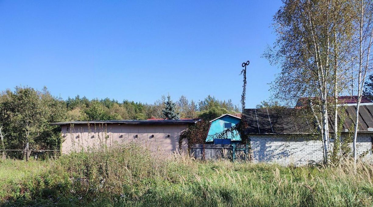 земля городской округ Раменский д Донино ул Центральная Раменское фото 5