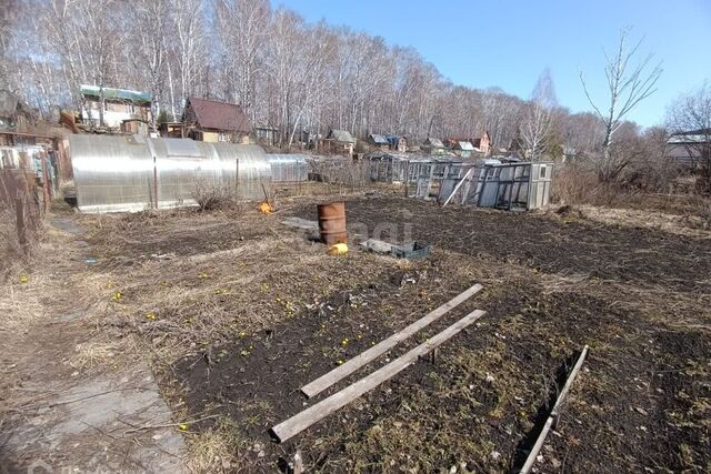 р-н Дзержинский Дзержинский, городской округ Новосибирск фото