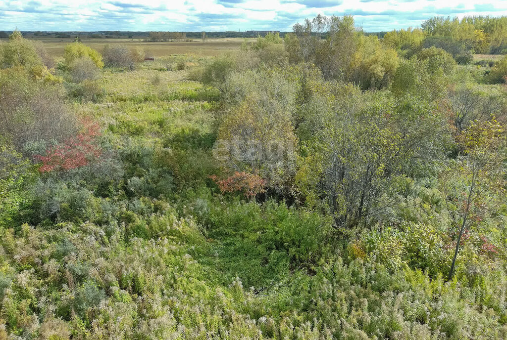 земля р-н Хабаровский с Тополево снт Ветерок фото 11