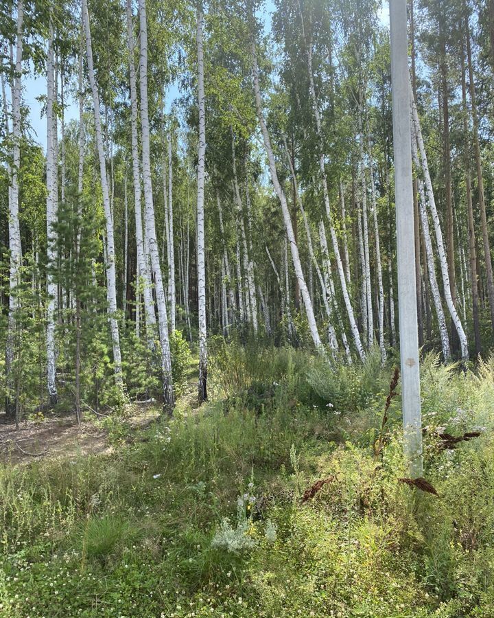 земля р-н Аргаяшский п Увильды ул Березовая Кузнецкое сельское поселение, Кыштым фото 3