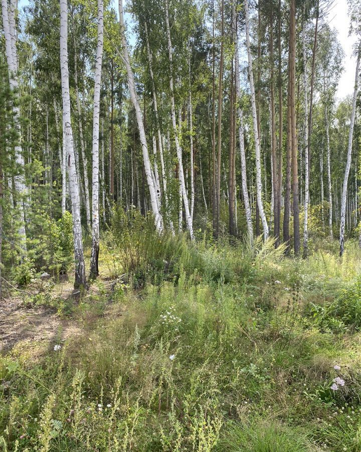 земля р-н Аргаяшский п Увильды ул Березовая Кузнецкое сельское поселение, Кыштым фото 4