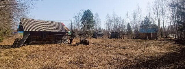 муниципальное образование Выльгорт, садоводческое товарищество Лесное-2 фото