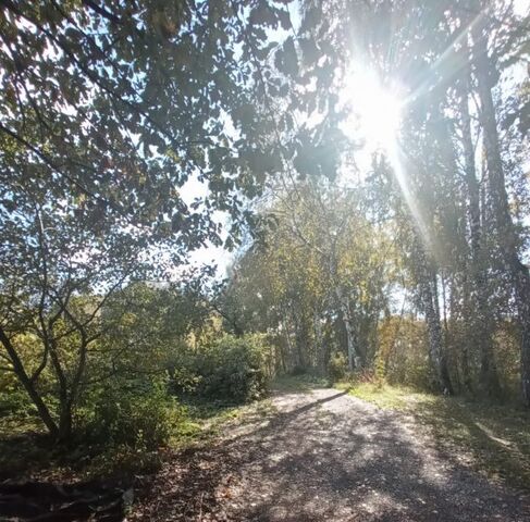 снт Березовая Роща Барышевский сельсовет, 20 фото