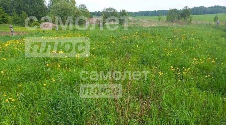 земля р-н Вологодский д Елгино фото 3