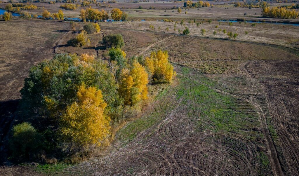 земля р-н Оренбургский с Каменноозерное фото 25