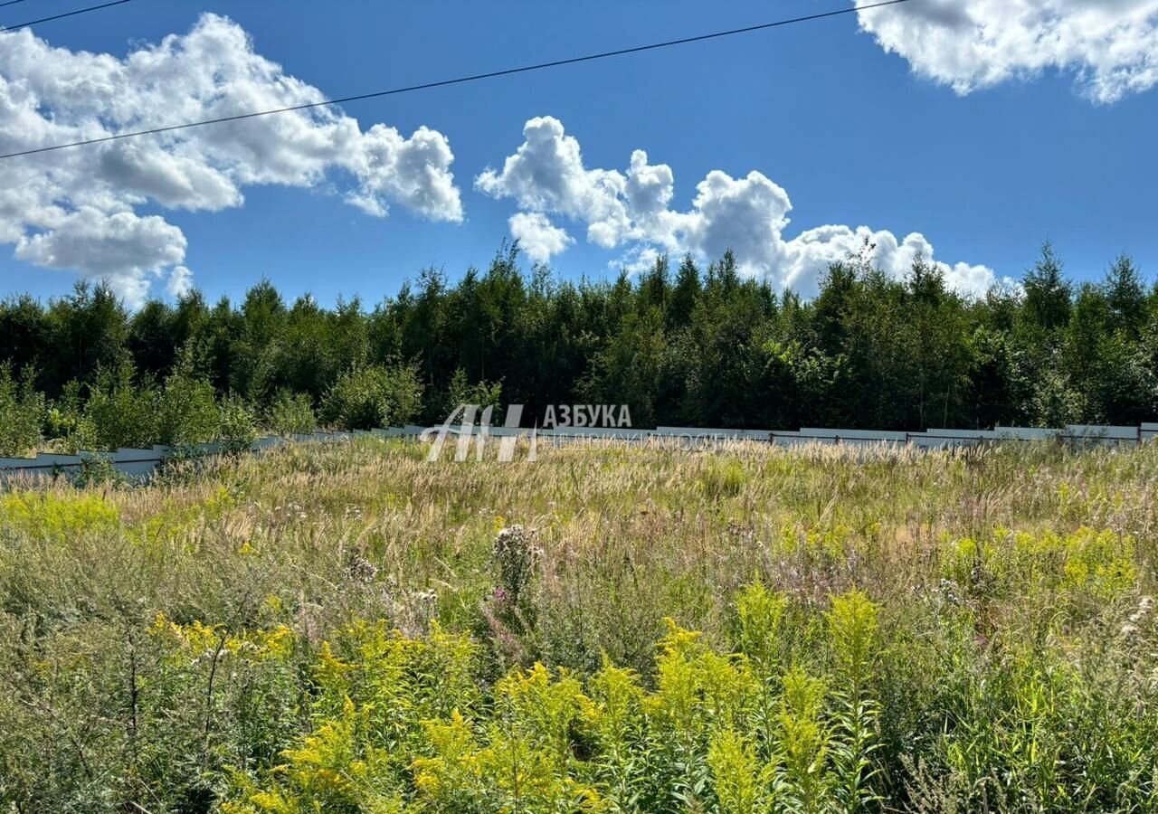 земля городской округ Истра снт Румянцево 9781 км, г. о. Истра, Новопетровское, Волоколамское шоссе фото 2