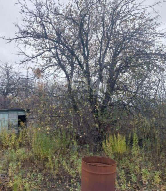 дом р-н Наровчатский с Садовое некоммерческое товарищество Восход, Пенза фото 4