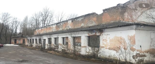 посёлок Большие Лучки ул Дзержинского 22 Сланцевское городское поселение фото