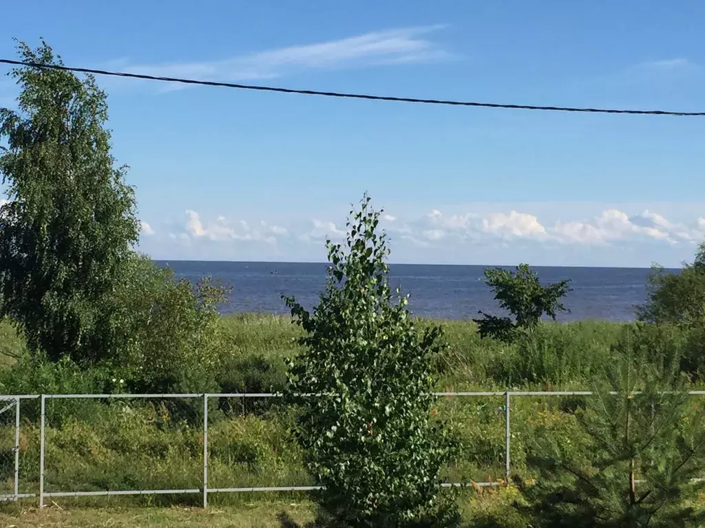 дом р-н Новгородский д Козынево 59, Великий Новгород фото 17