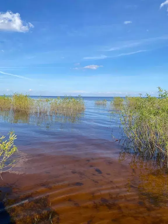 дом р-н Новгородский д Козынево 59, Великий Новгород фото 22