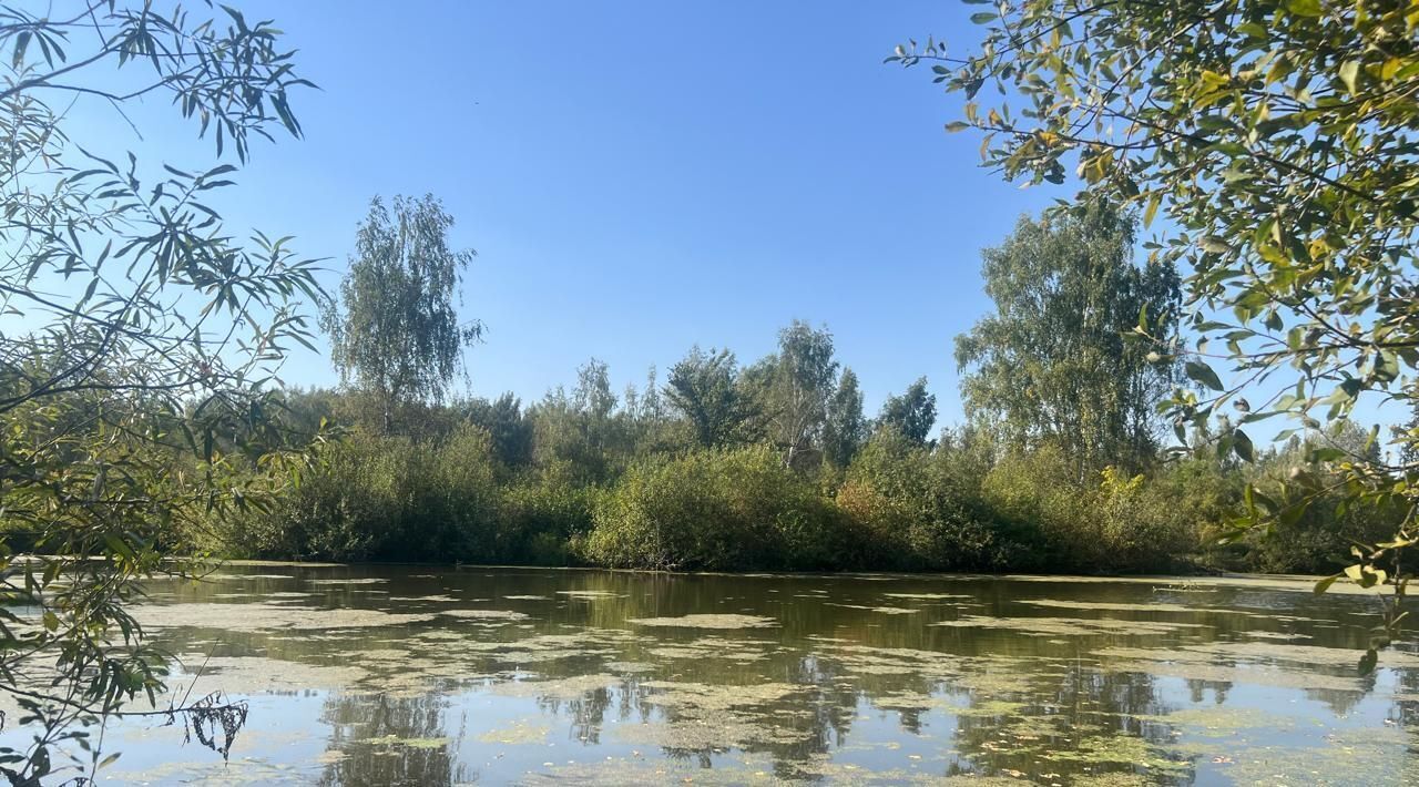 земля городской округ Ступино с Константиновское фото 4