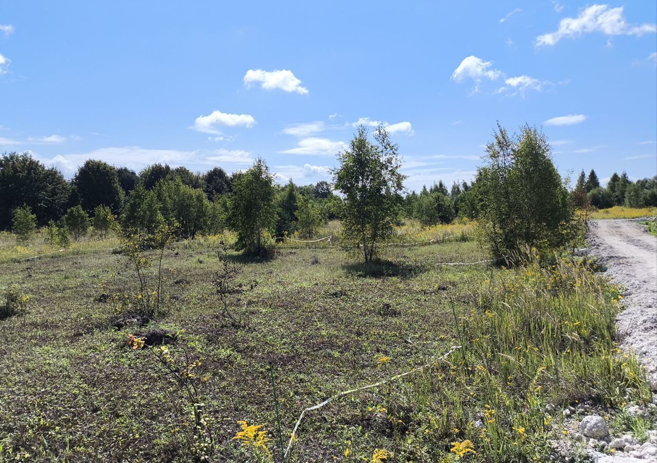 земля городской округ Кашира д Тарасково ул Комсомольская 9812 км, Ступино, Каширское шоссе фото 18