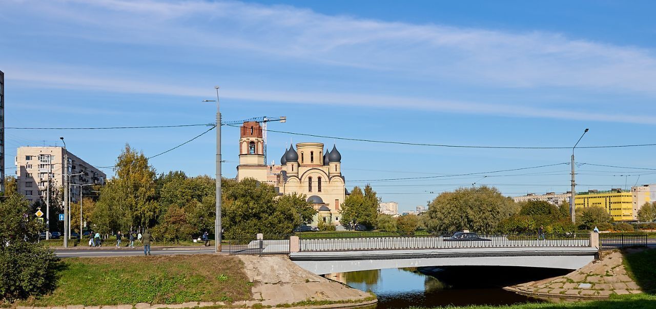 квартира г Санкт-Петербург метро Проспект Ветеранов пр-кт Ветеранов 100 фото 39