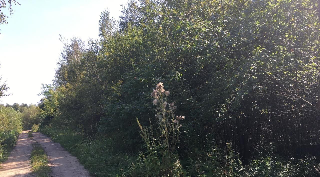 земля городской округ Богородский п Воровского снт Светлячок ул Северная Железнодорожная фото 6