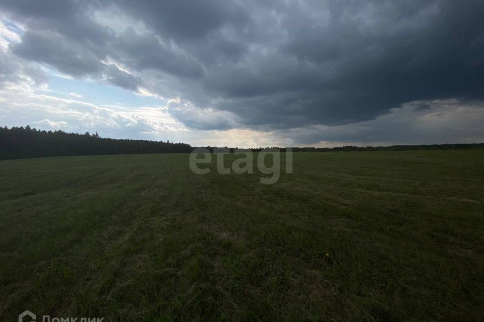 земля р-н Слободо-Туринский деревня Ермолина фото 2