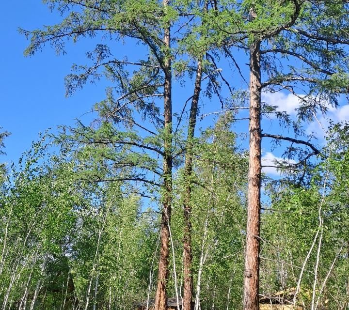 земля г Якутск городской округ Якутск, Покровское шоссе 16 километр, 5 фото 1