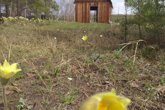 городской округ Якутск, Республика Саха Якутия, Намцырский тракт фото