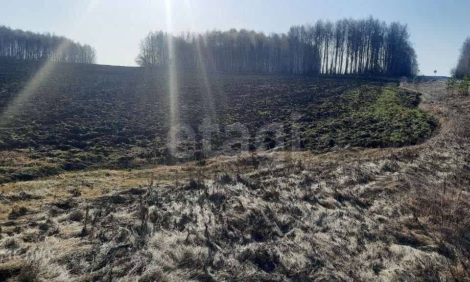 земля р-н Ирбитский д Большой Камыш ул Уральская фото 3