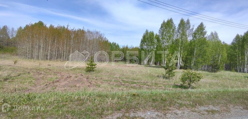 земля р-н Нижнетавдинский село Тюнево фото 2