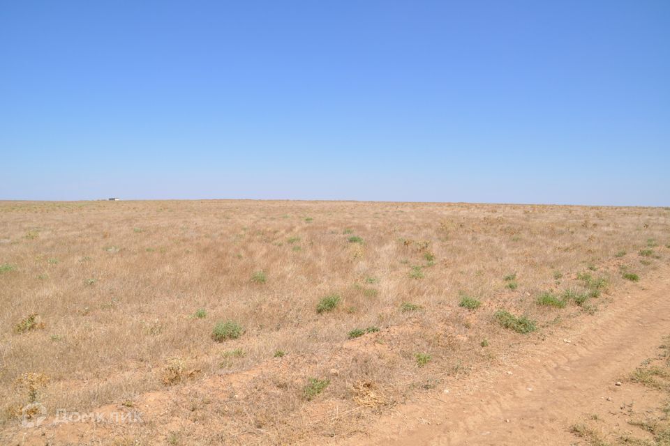 земля р-н Сакский село Великое фото 6