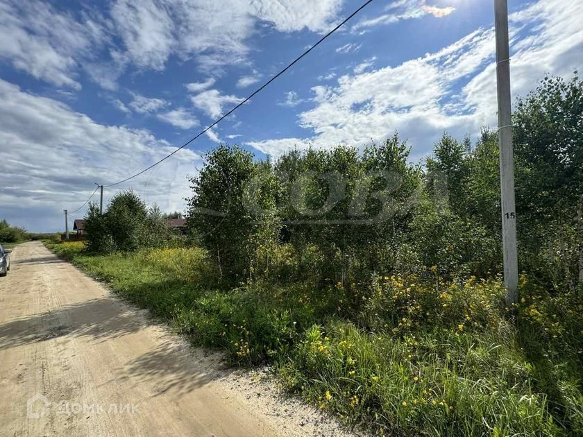 земля р-н Тюменский д Есаулова Родниковая фото 6