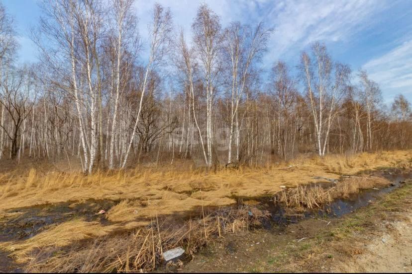 земля р-н Хабаровский село Восточное фото 9