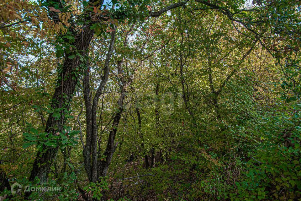 земля г Севастополь Балаклавский район, Инкерман фото 9