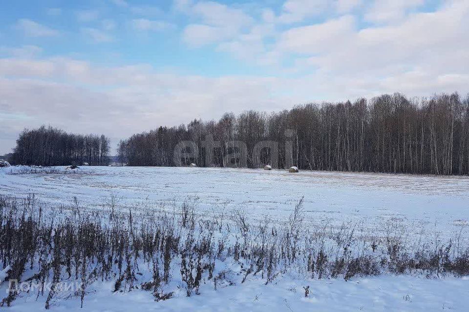 земля р-н Ирбитский д Большой Камыш ул Уральская фото 7