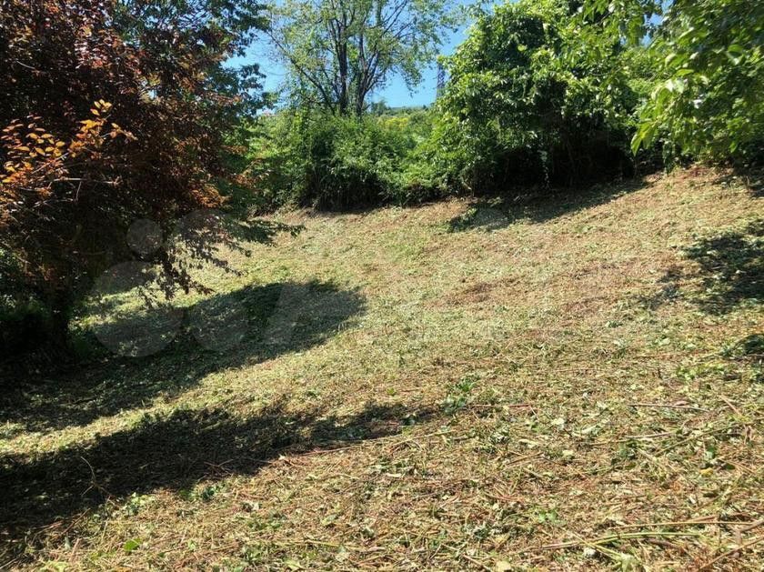 земля г Сочи с Верхний Юрт городской округ Сочи, садоводческое товарищество Чайка фото 3