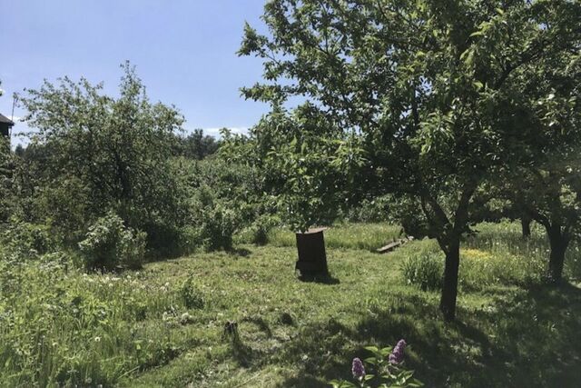 городской округ Электросталь, 32, садовое товарищество Металлург фото