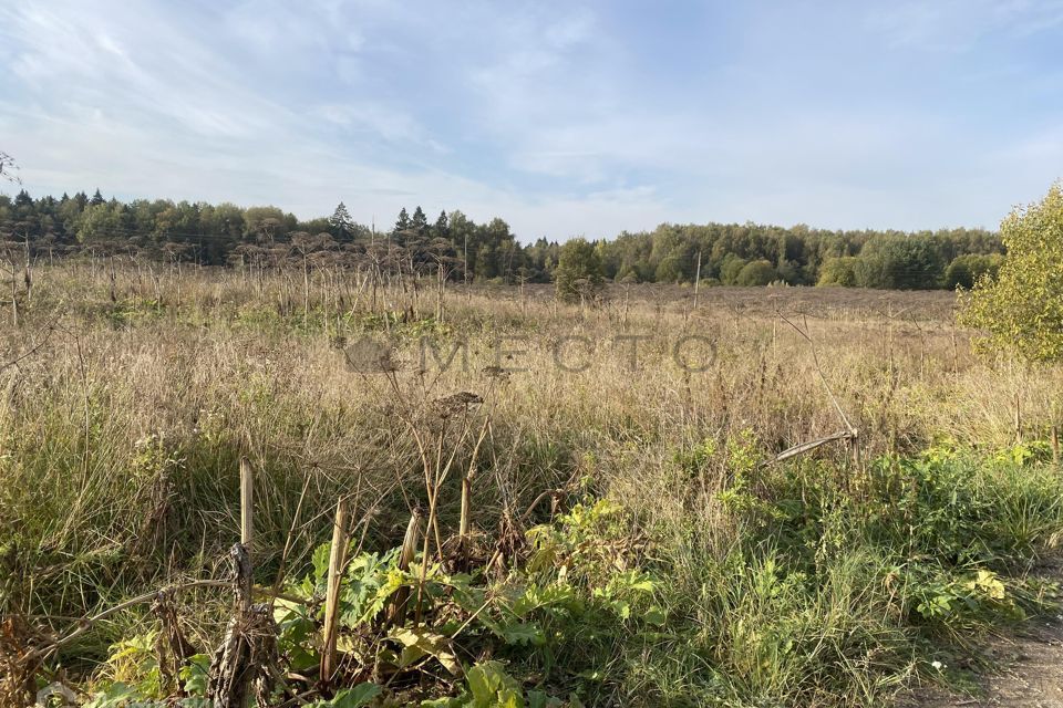 земля городской округ Истра деревня Лужки фото 3