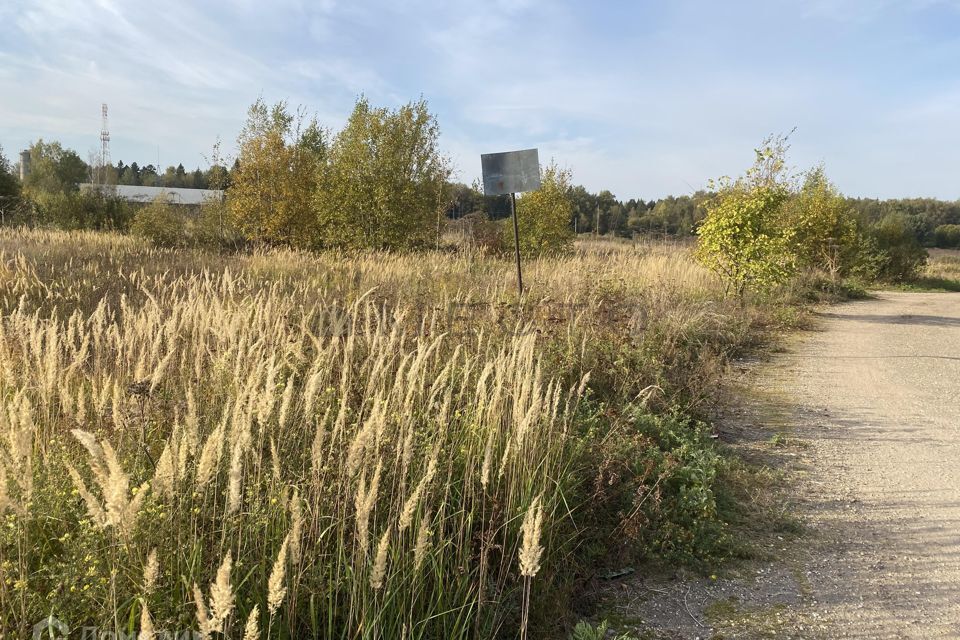 земля городской округ Истра деревня Лужки фото 2