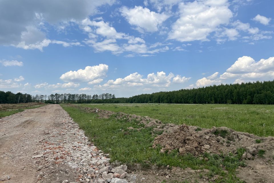 земля городской округ Раменский фото 9