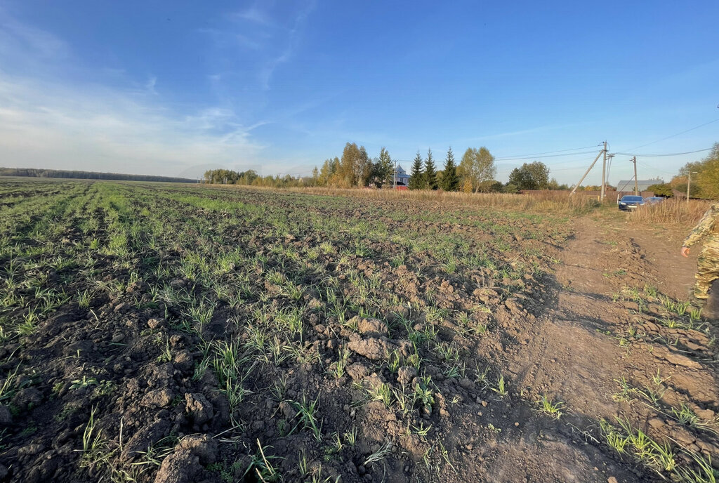 земля городской округ Раменский д Лысцево фото 5