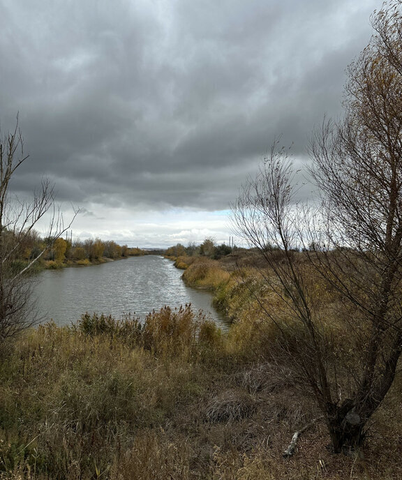 дом р-н Городищенский х Паньшино Паньшинское сельское поселение фото 17