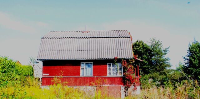 Щегловское с/пос, Березовая линия, 120 фото