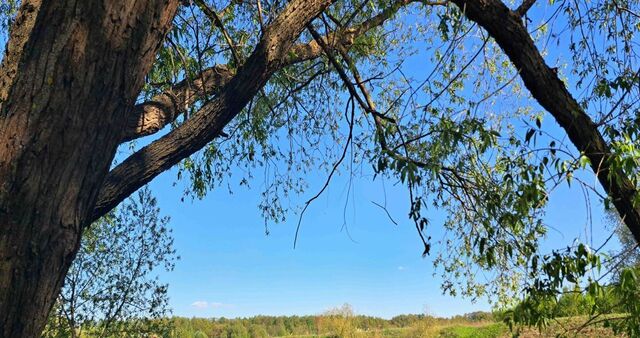 городской округ Раменский д Нижнее Мячково ул Раздольная 42/2 Удельная фото