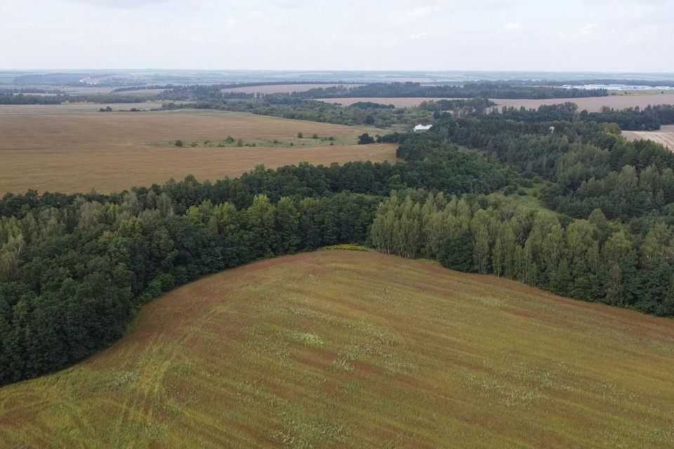 земля р-н Кромской посёлок Галактионовский фото 3