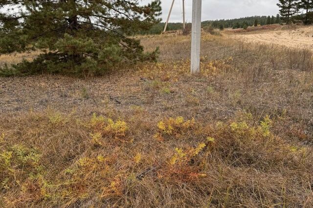 земля р-н Тарбагатайский п Николаевский Новый микрорайон фото