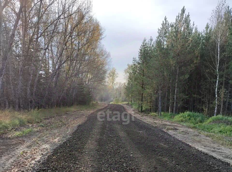 земля р-н Первомайский с Санниково пер Новый 1 фото 1