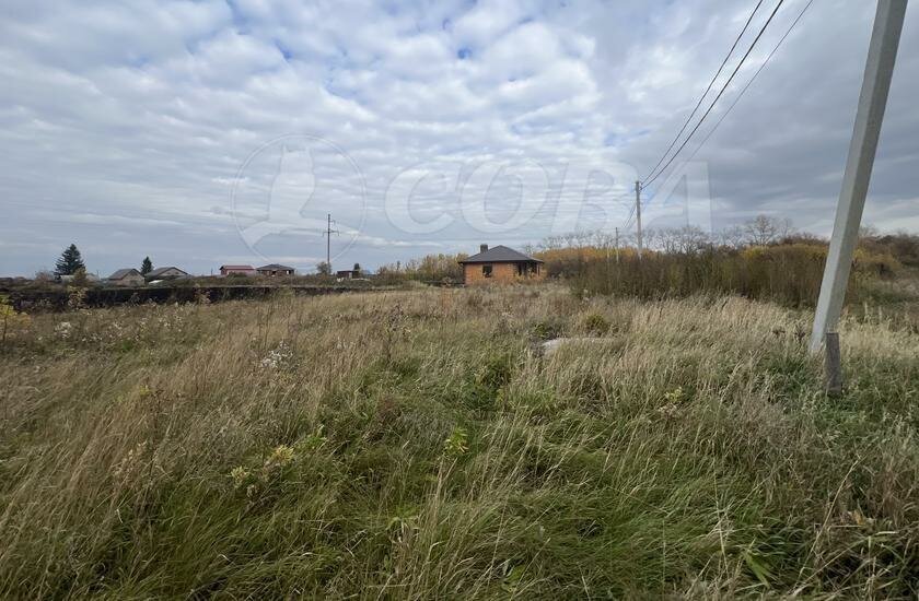 земля р-н Тюменский с Луговое фото 4