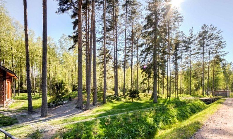 дом р-н Выборгский п Приветнинское ул Лесная Приморское шоссе, 26 км, Полянское сельское поселение, Санкт-Петербург фото 1