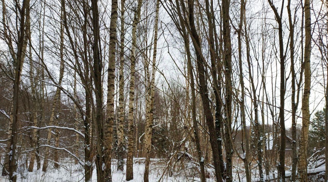 земля городской округ Рузский д Кузянино фото 10